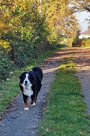 Startseite Juni 2025